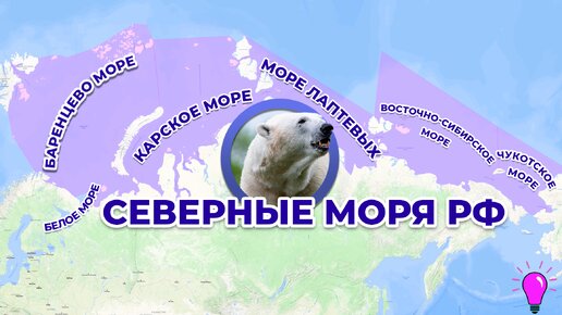 下载视频: Северные моря России на карте