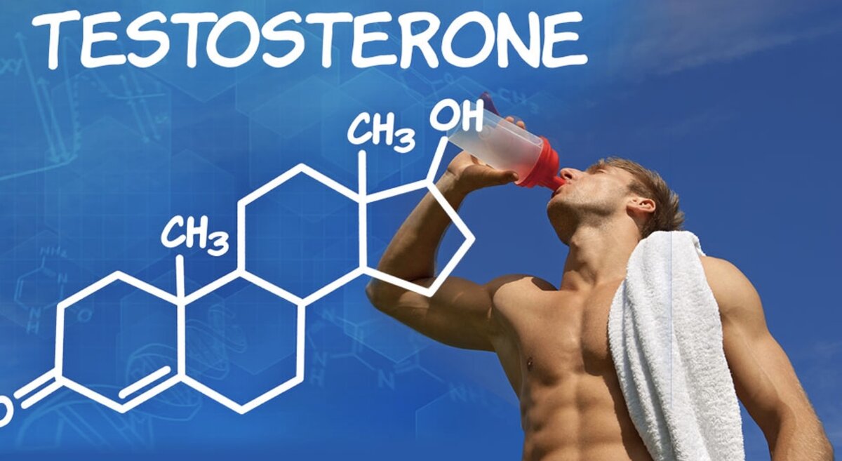Тестестероон — основной половой гормон, андроген. Синтезируется из холестерина клетками Лейдига семенников у мужчин, а также в небольших количествах яичниками у женщин