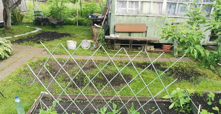    «Росгосстрах»: российские дачники сделали ставку на огороды