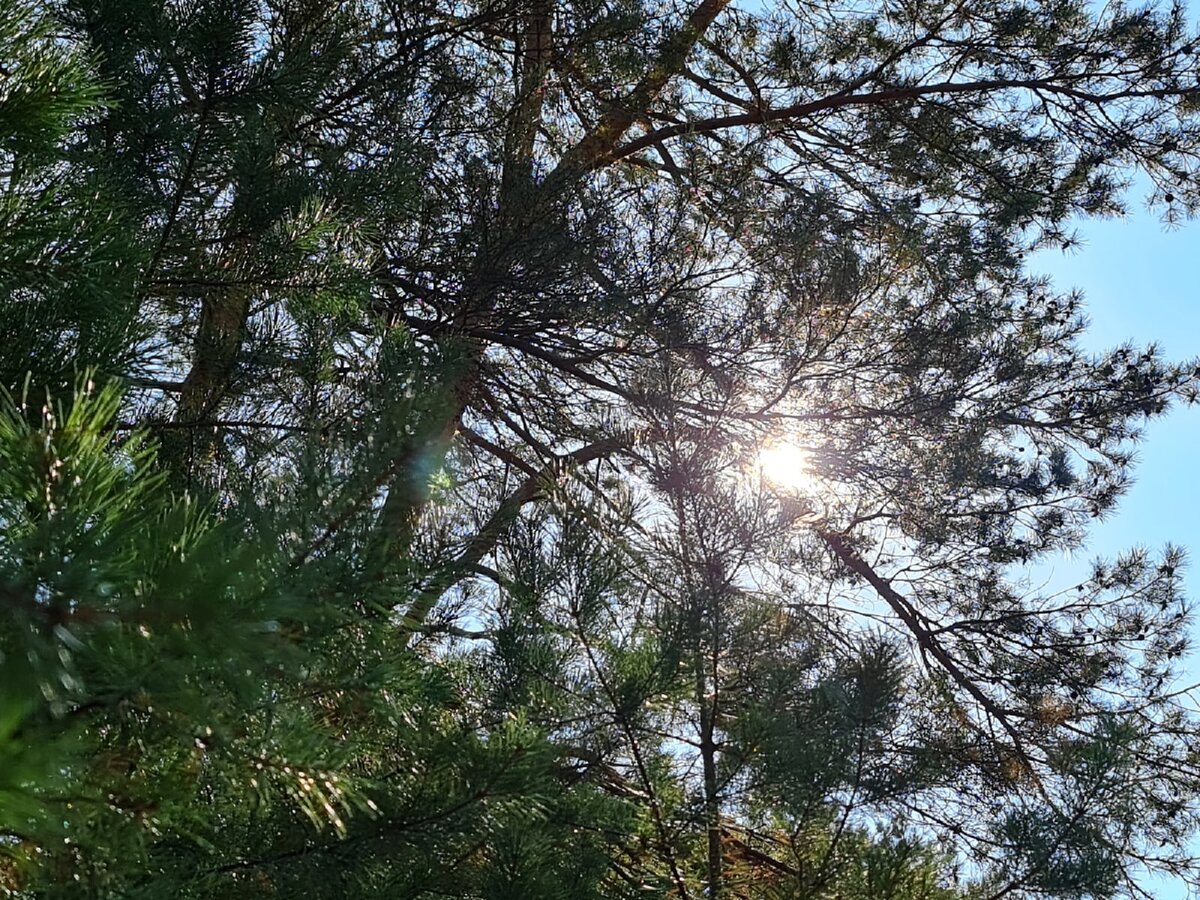 Фото: Медведев Александр