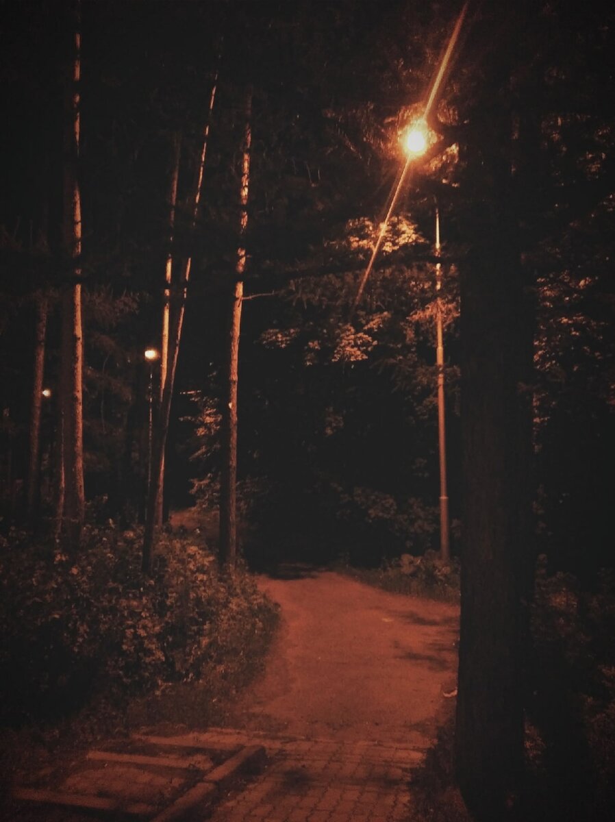 Личное фото автора 