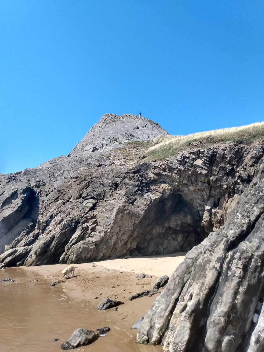 Не везде ещё можно добраться, но чья-то собака оказалась расторопнее нас)). Фото из личного архива 