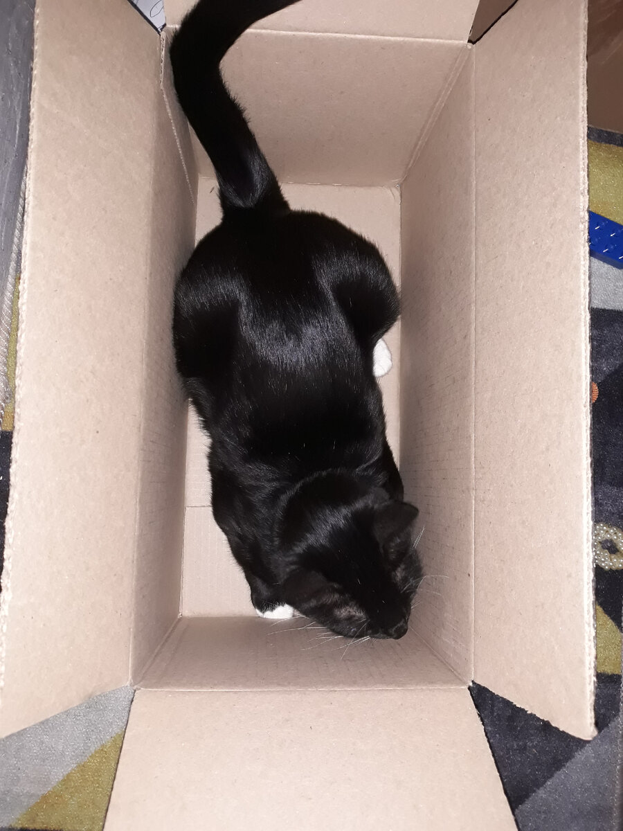 Хотела выкинуть коробку. Ну да, как же :)