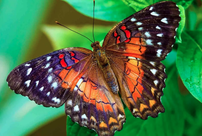 Учимся, играя