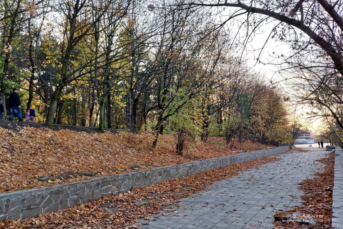    В последний день ноября на Кубани будет холодная и ветреная погода