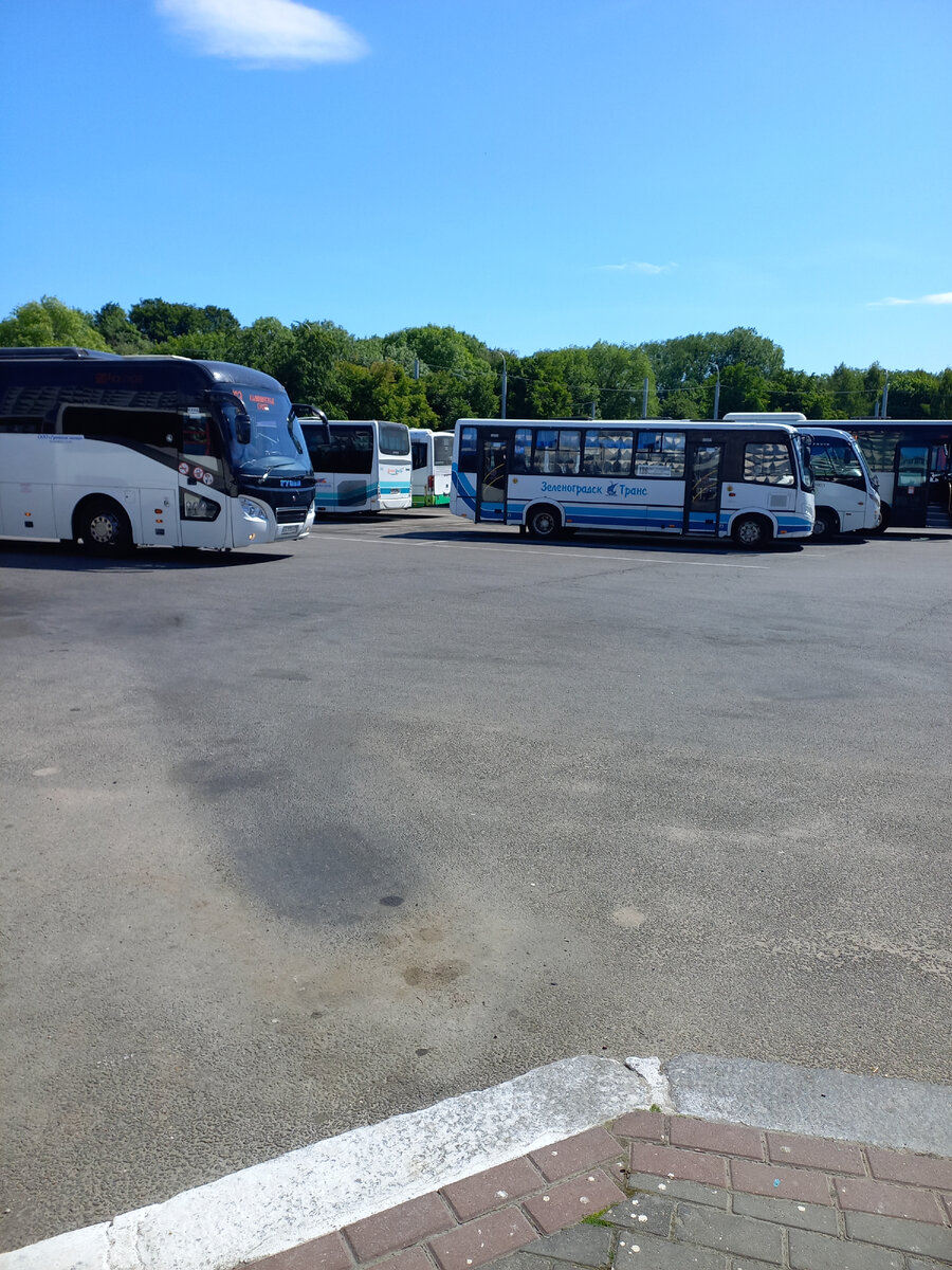 По ту сторону Европы! Сгонял в Советск (Тильзит) из Калининграда. Чем  удивил город на границе с Литвой? Достопримечательности Советска. | Фигаро  здесь, Фигаро там | Дзен