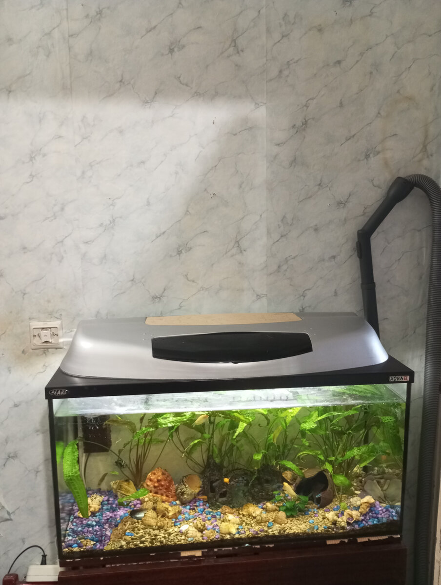 Фото автора. На этой стене были мои советские панно и картинки. 