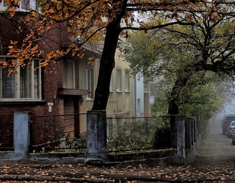 фото из открытых источников.