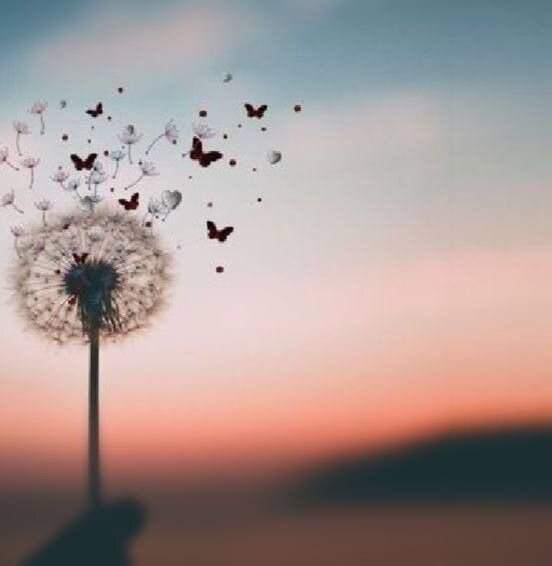 Фото их Pinterest