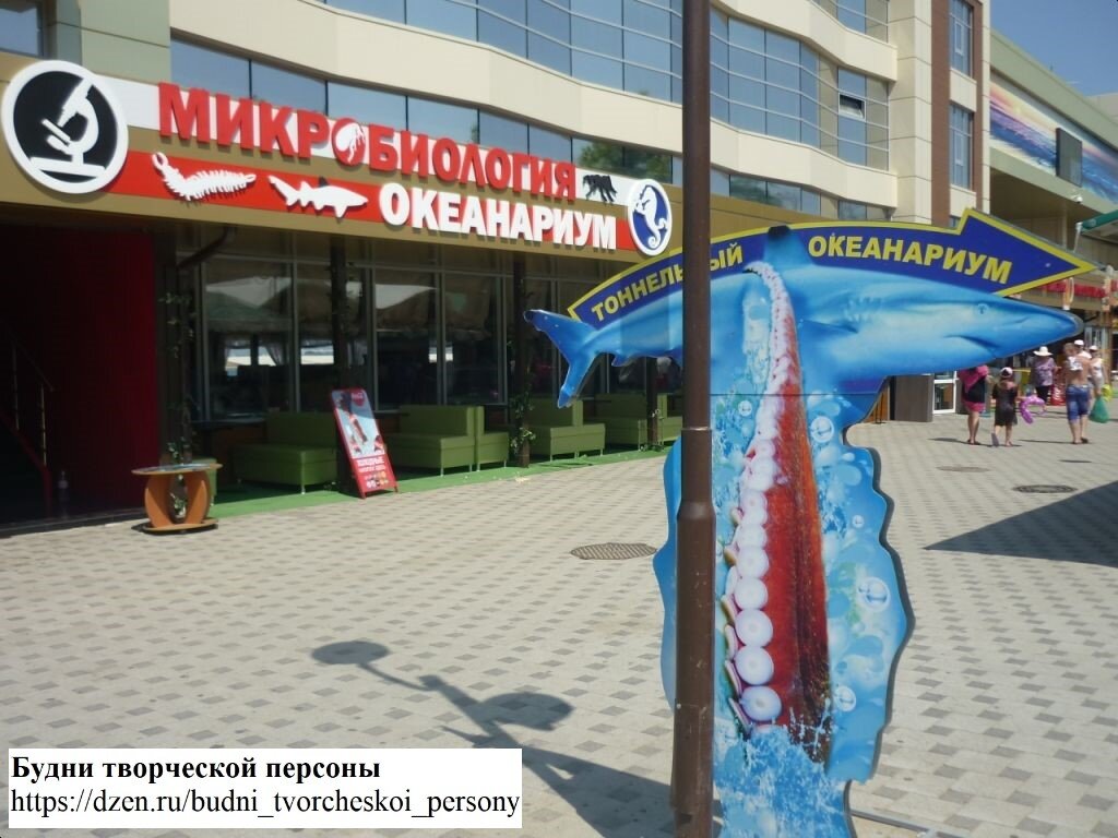 "Микробиология" и "Океанариум" в Анапе