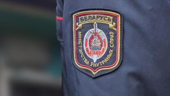    В Белоруссии признали экстремистским правозащитный центр "Весна" Анастасия Романова