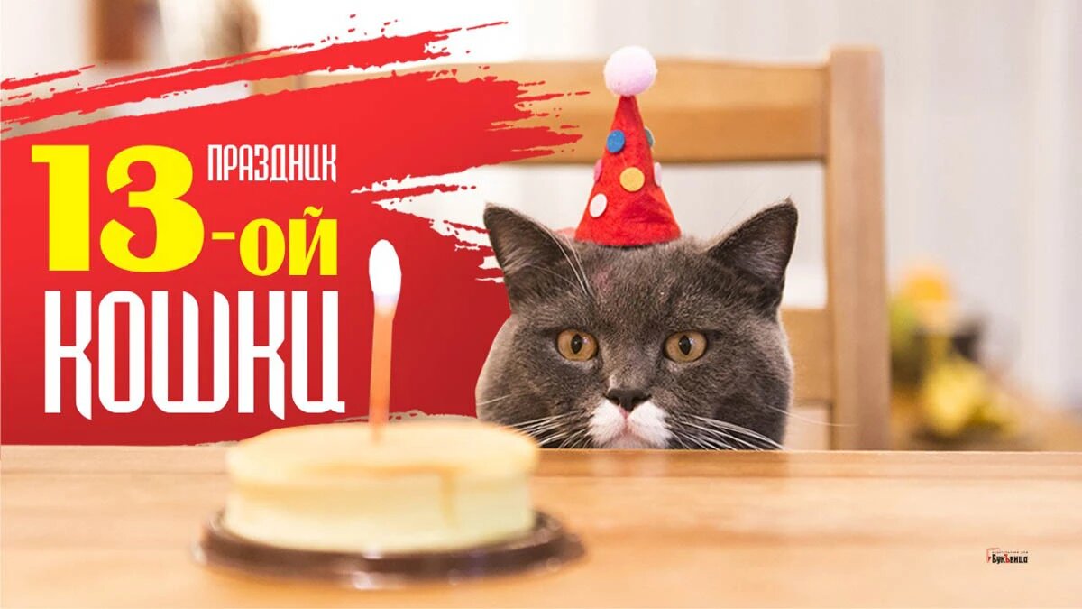 Праздник тринадцатой кошки. Иллюстрация: «Весь Искитим»