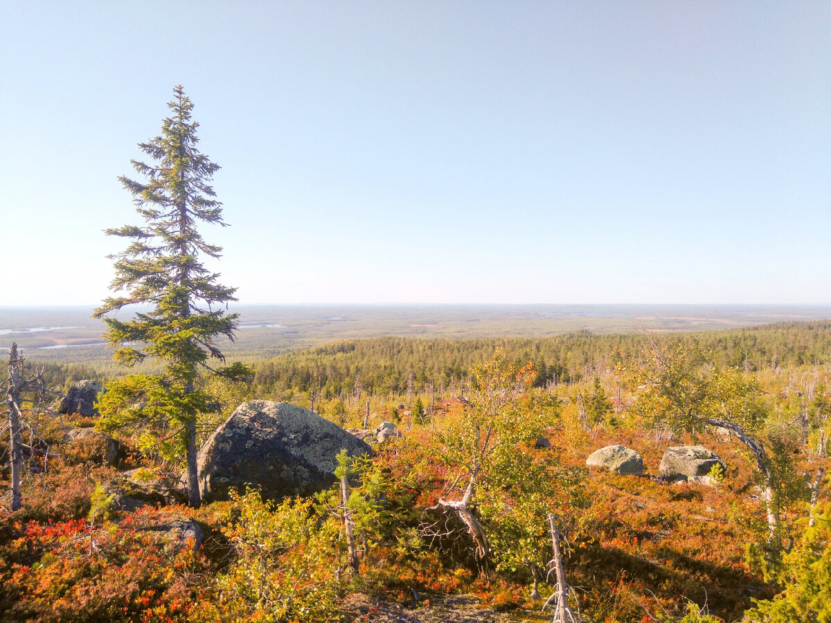 Гора Воттоваара. Фото автора блога