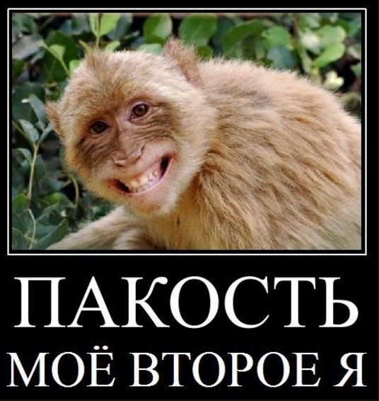 Картинка из открытых источников