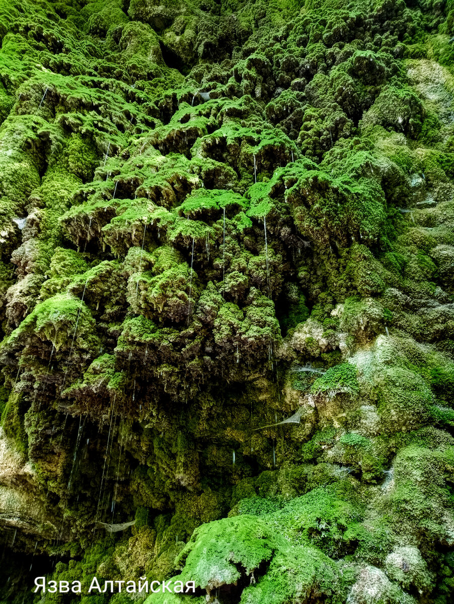 Водопад девичьи слезы. Геленджик. 