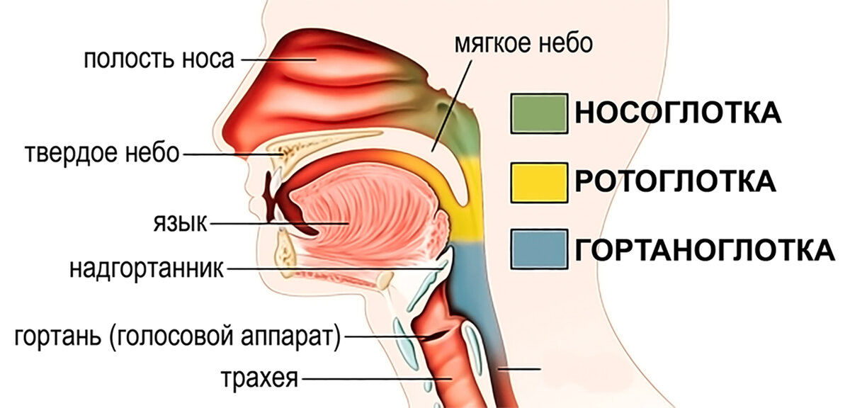 Изображение из открытых источников. 