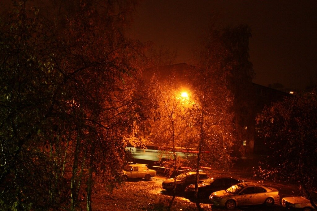 фото из интернета