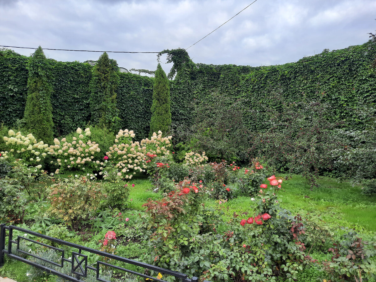 посмотрите как красиво, фото автора