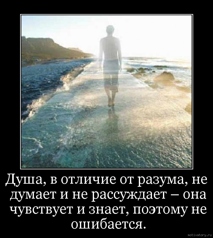 Как понять что ты чувствуешь к человеку. Цитаты про душу. Душа в отличие от разума не думает. Цитаты о душе. Душа не ошибается.