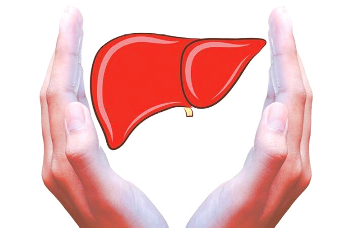 источник фото google images