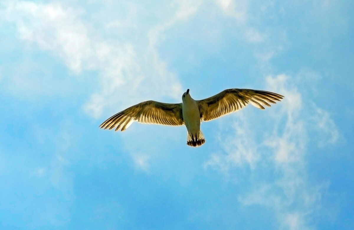 4 вещи, заставляющие чувствовать себя лучше