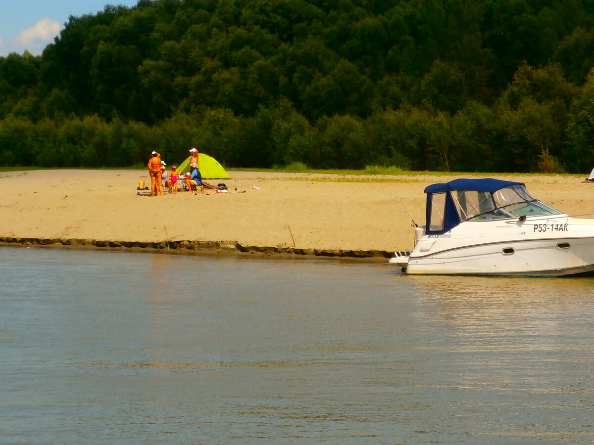 Живем по доходам, а правила одни | Городской рыболов... | Дзен
