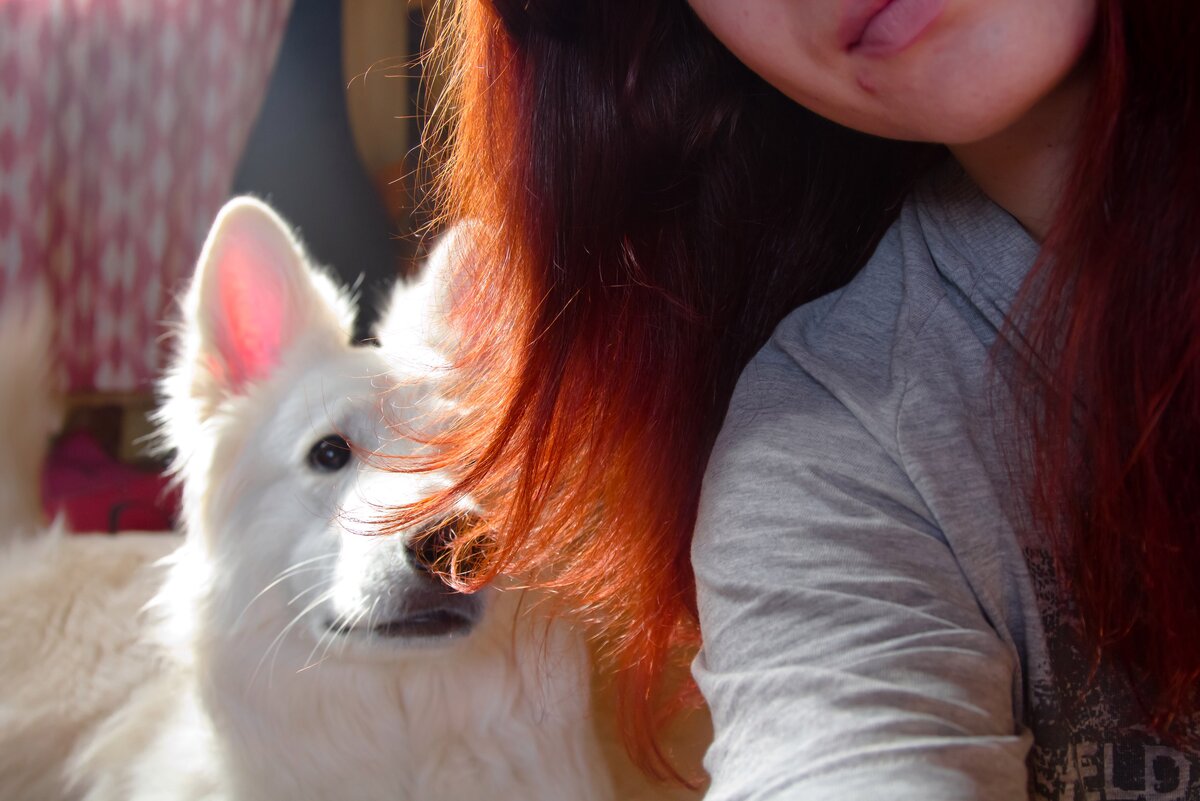 а уши-то просвечивают!