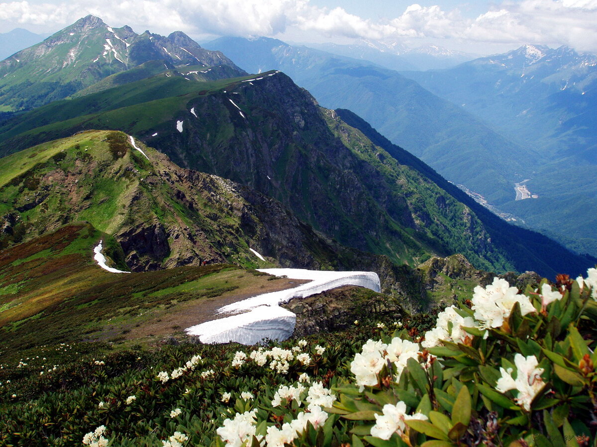 Хребет красна. Гора Ачишхо красная Поляна. Красная Поляна Сочи горы рододендрон. Краснодарский край горы красная Поляна. Альпийские Луга красная Поляна.