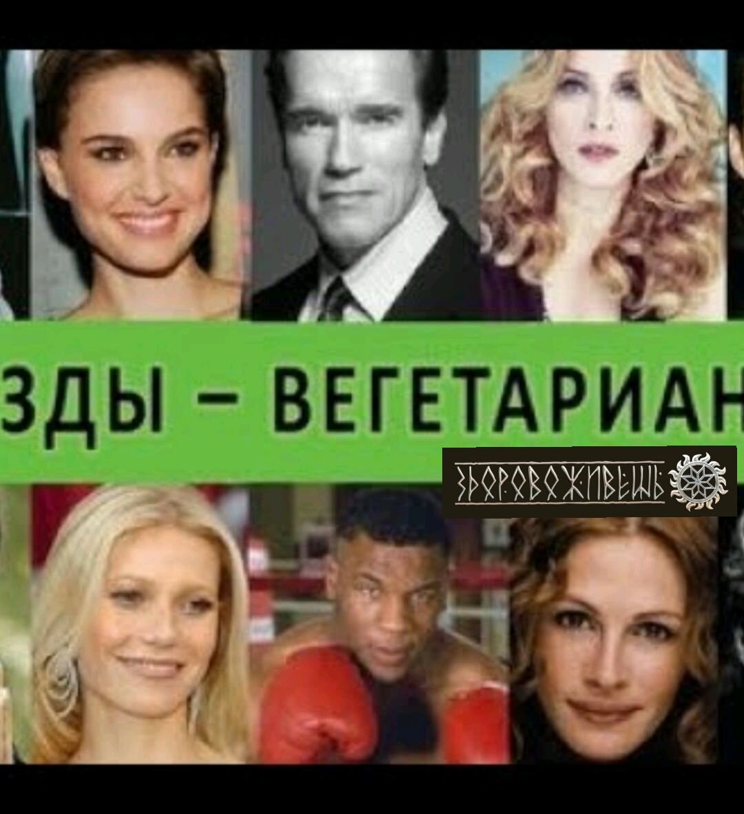 Известные вегетарианцы