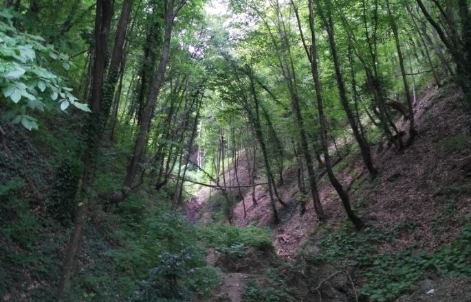 Фото принадлежит ПУТНИК САНАЙ©