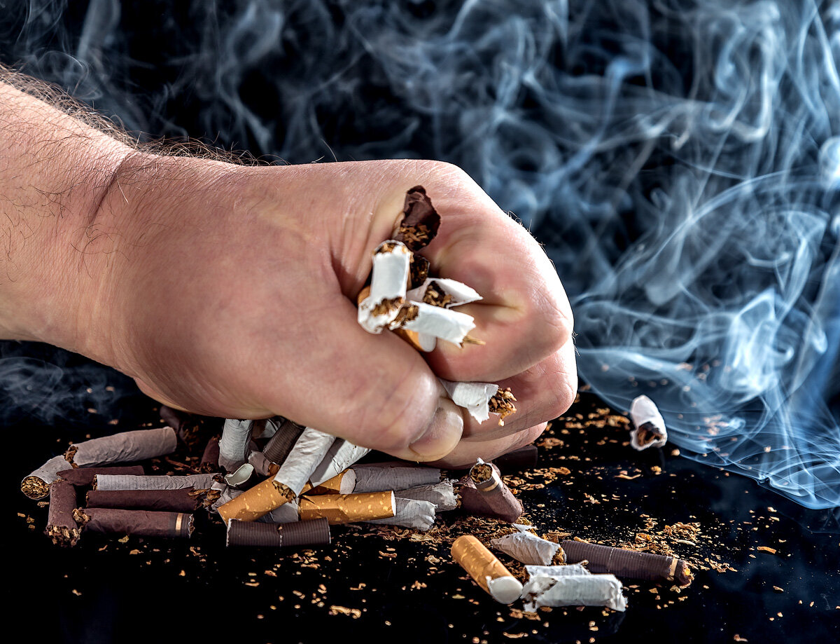 Источник фото: Яндекс Картинки