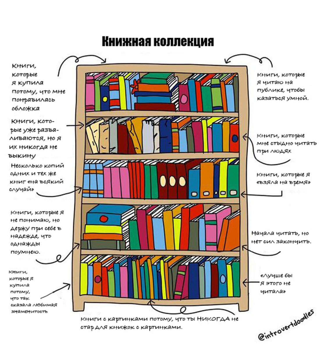 надпись новинки на книжной полке