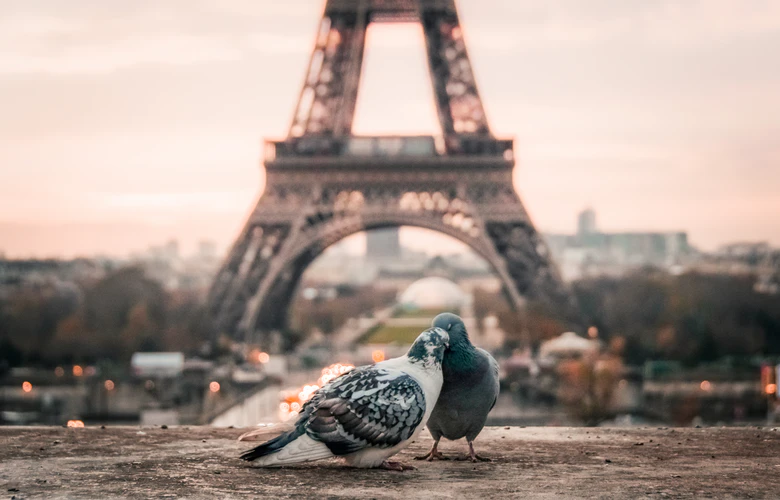 https://unsplash.com/photos/bQxGg8Vx1Vc