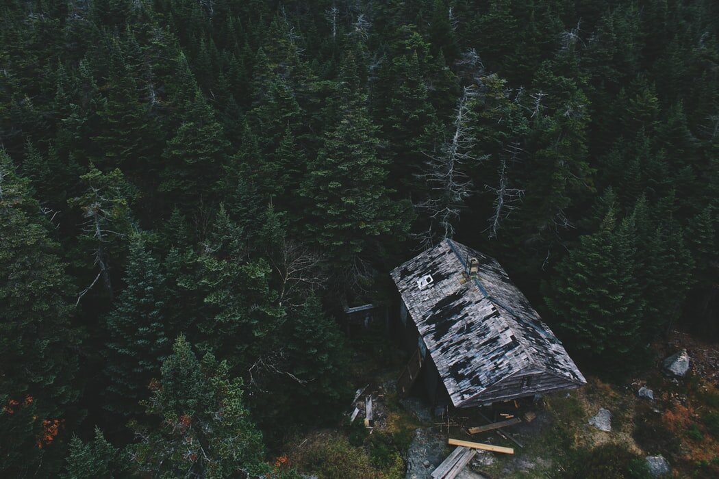 "Из трубы над покрытой редким мхом крышей шел легкий дымок. В окнах горел уютный свет"