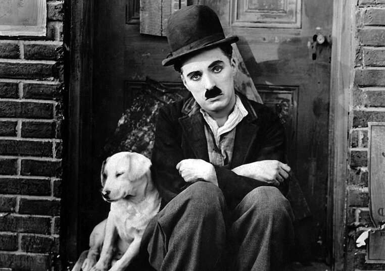 Фото из свободных источников