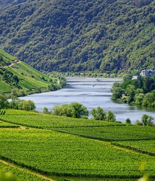 https://cdn.pixabay.com/photo/2019/07/14/10/48/mosel-4336787__340.jpg 