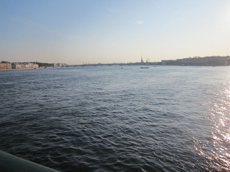 Река Нева коричневая