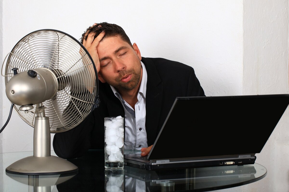 картинка из интернета