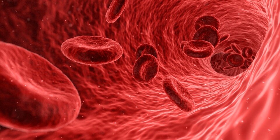 https://cdn.pixabay.com/photo/2016/11/10/02/47/blood-1813410_960_720.jpg 