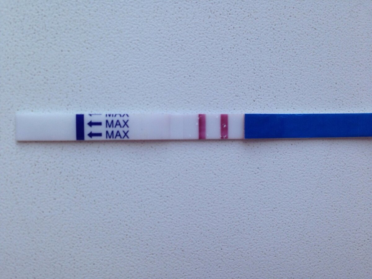 Причины бледной полоски на тесте при отсутствии беременности