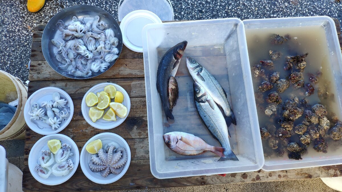 Рыба и порции морепродуктов на пробу