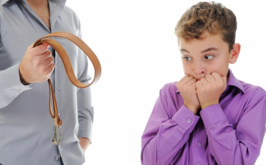 Ты это видел?!