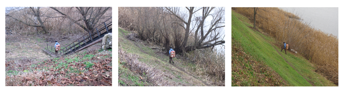 Сохраняя равновесие.