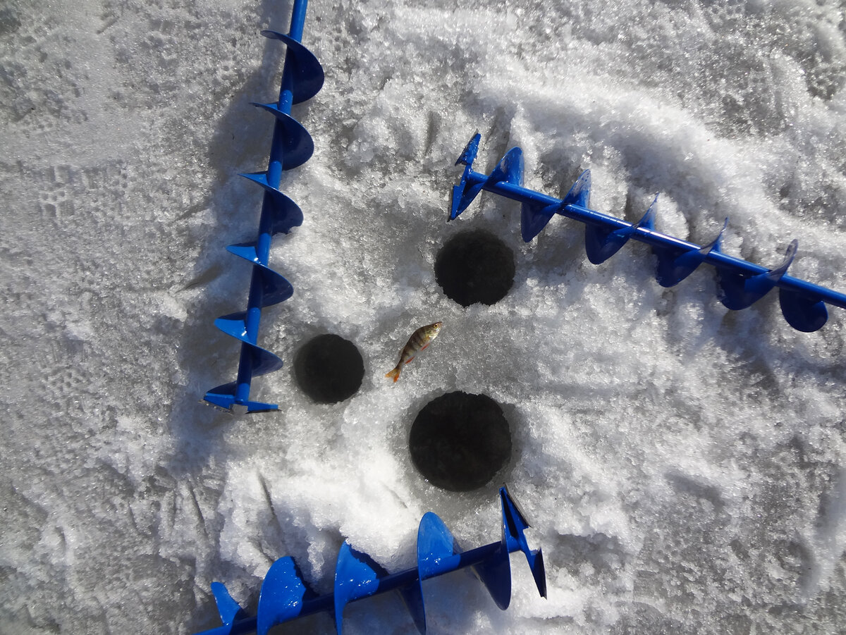 фото - яндекс.картинки