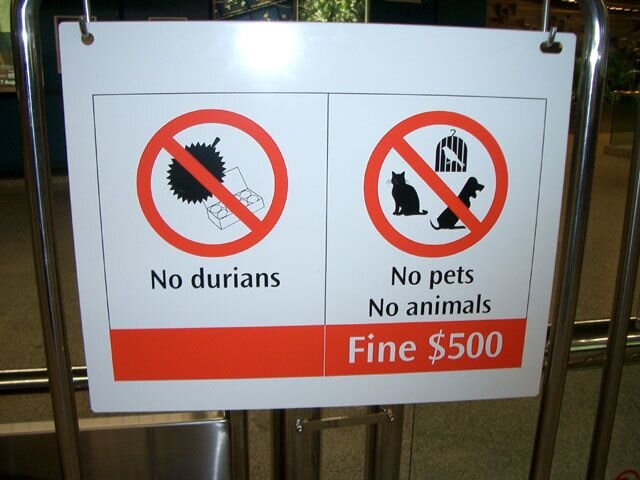 Таблице на входе в сингапурское метро - штраф за дуриан 500 местных долларов (фото с сайта yearofthedurian.com/)
