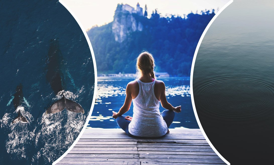 Изображение взято из Яндекс.Картинки