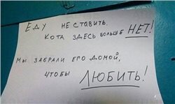 На первый взгляд может показаться, что для кошек открывают свободный доступ в подвалы, но к счастью это не так
