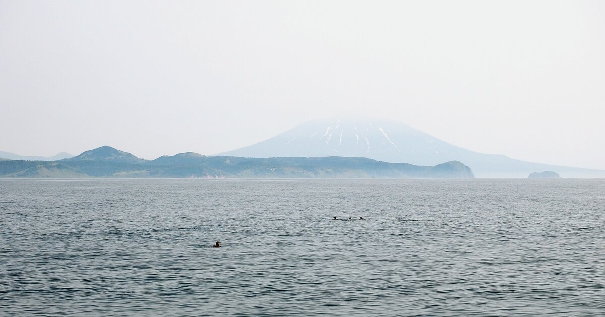 По дороге к лежбищу. Вид на вулкан Тятю, в хорошую погоду его видно почти отовсюду