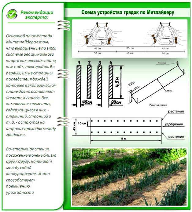 Расстояние между бороздами картошки при посадке какое