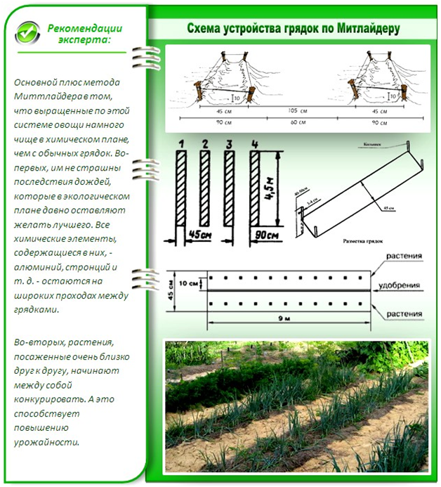 Разбиваем огород по методу Митлайдера